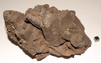 RG0562 Pyrrhotite.JPG RG0562 Pyrrhotite.JPG