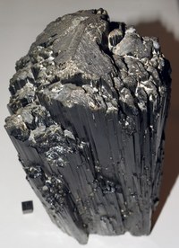 RG0565 Tourmaline Group (1).JPG RG0565 Tourmaline Group (1).JPG
