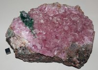 RG0566 Calcite Cobalt bearing Calcite.JPG RG0566 Calcite Cobalt bearing Calcite.JPG