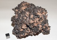 RG0580 Descloizite.JPG RG0580 Descloizite.JPG