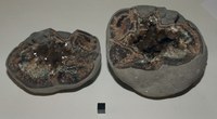 RG0582 (4) Baryte.JPG RG0582 (4) Baryte.JPG