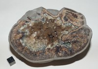RG0582 (5) Baryte.JPG RG0582 (5) Baryte.JPG