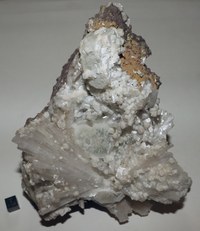 RG0588 (1) Scolesite.JPG RG0588 (1) Scolesite.JPG