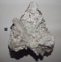 RG0588 (2) Scolesite.JPG RG0588 (2) Scolesite.JPG