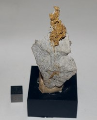 RG0589 Gold.JPG RG0589 Gold.JPG