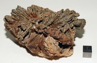 RG0594 Epidote.JPG RG0594 Epidote.JPG