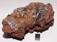 RG0595 Aragonite.JPG RG0595 Aragonite.JPG