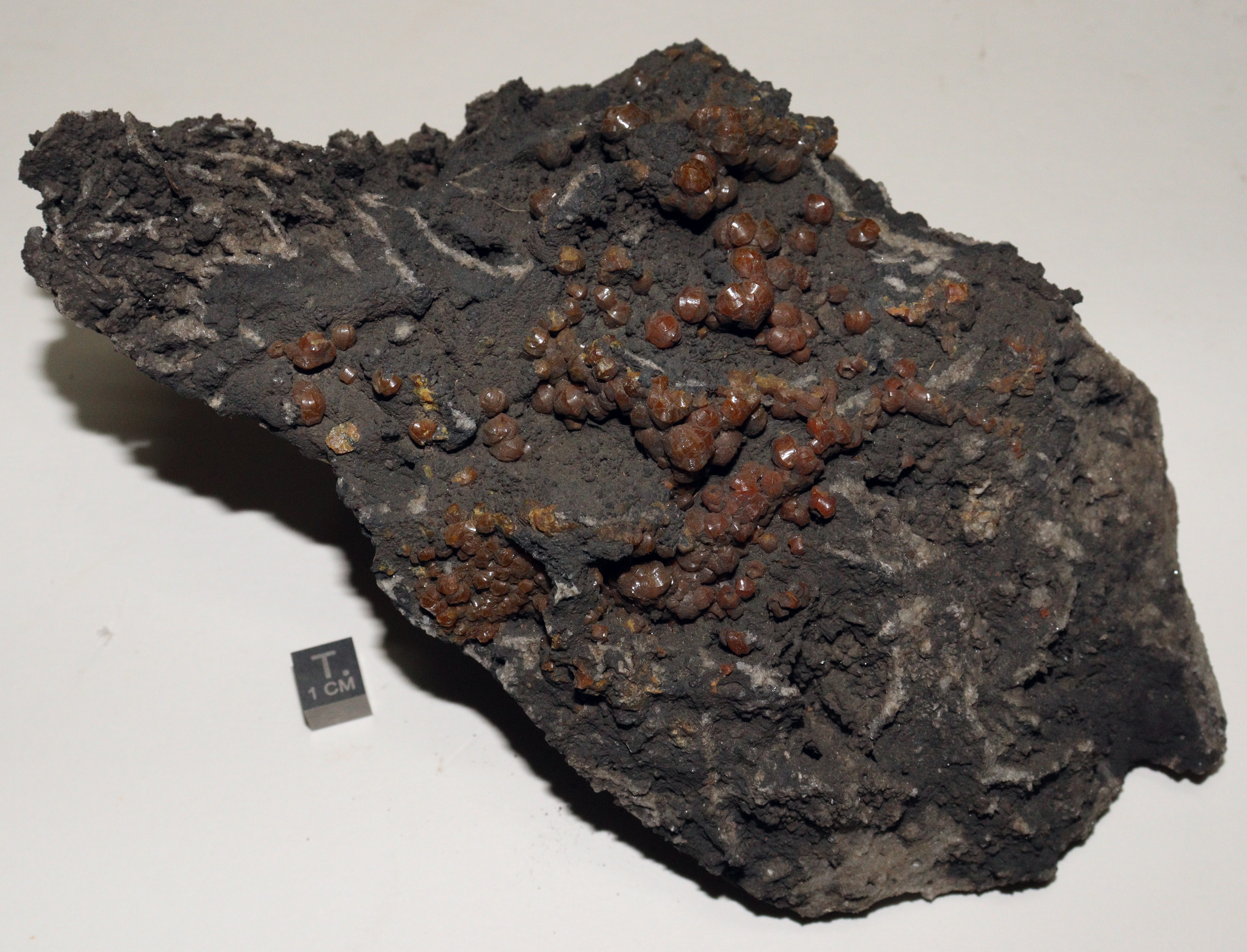 RG0598 Mimetite Campylite.JPG