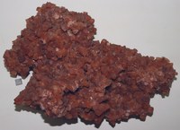 RG0599 Aragonite.JPG RG0599 Aragonite.JPG