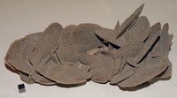 RG0629 Gypsum.JPG RG0629 Gypsum.JPG