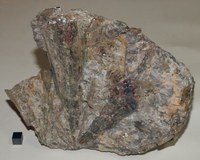 RG0632 Kyanite.JPG RG0632 Kyanite.JPG
