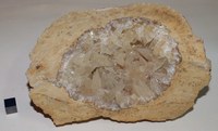 RG0633 Calcite.JPG RG0633 Calcite.JPG
