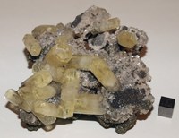 RG0639 Calcite.jpg RG0639 Calcite.jpg