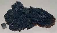 RG0651 Descloizite.JPG RG0651 Descloizite.JPG