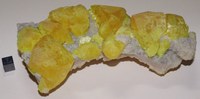 RG0684 Sulphur.JPG RG0684 Sulphur.JPG