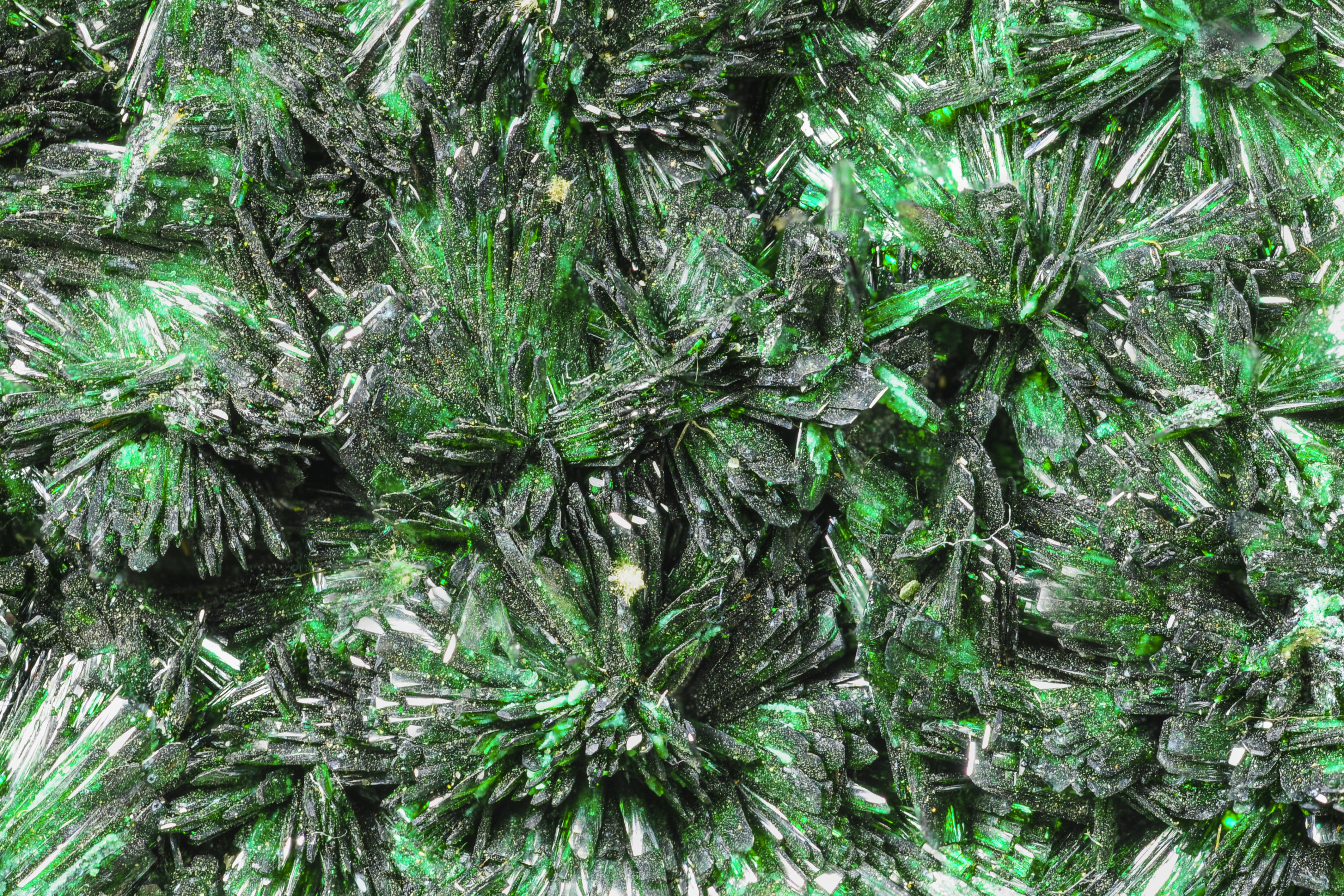 RG0703 27940 Atacamite BB 25.jpg