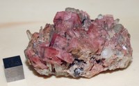 RG0704 Rhodochrosite.JPG RG0704 Rhodochrosite.JPG