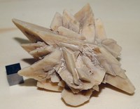 RG0714 Glauberite.JPG RG0714 Glauberite.JPG