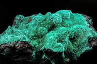 RG0723 27936 Brochantite BB 85.jpg RG0723 27936 Brochantite BB 85.jpg