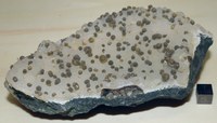 RG0724 Prehnite.JPG RG0724 Prehnite.JPG