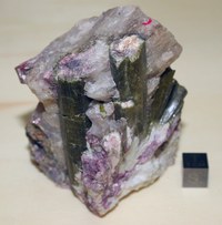 RG0726 Tourmaline -Group-.JPG RG0726 Tourmaline -Group-.JPG