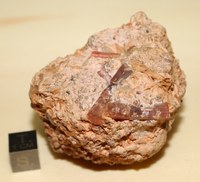 RG0728 Tourmaline -Group-.JPG RG0728 Tourmaline -Group-.JPG
