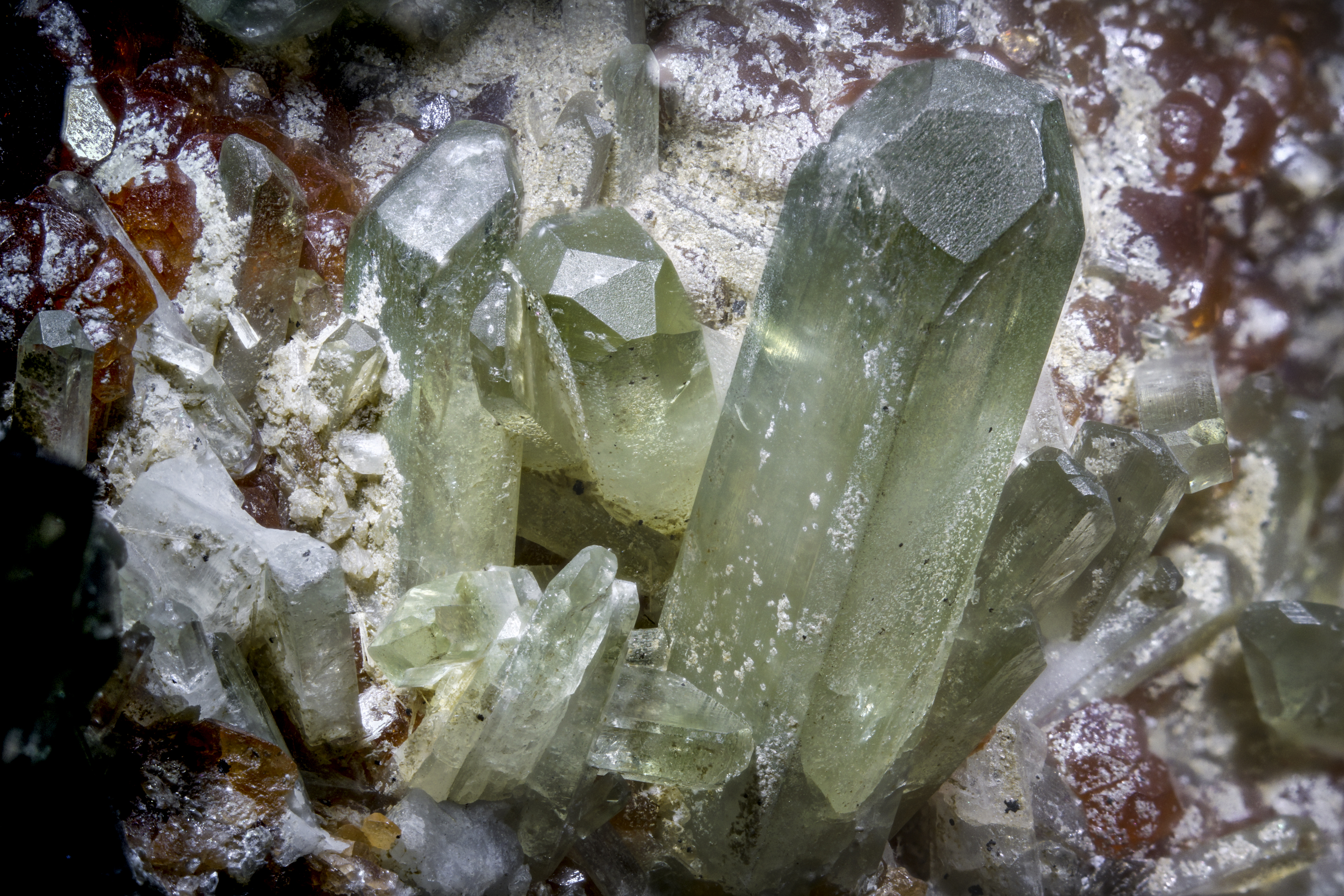 RG0747 27953 Diopsite & Diopsite BB 21.jpg