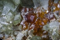RG0747 27954 Garnet & Diopsite BB 21.jpg RG0747 27954 Garnet & Diopsite BB 21.jpg