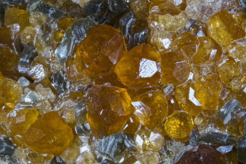 RG0747 27955 Garnet BB 10.jpg