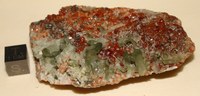 RG0747 Diopside Garnet.JPG RG0747 Diopside Garnet.JPG