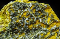 RG0748 27958 Chervetite BB 55.jpg RG0748 27958 Chervetite BB 55.jpg
