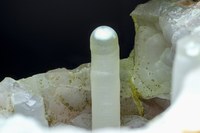 RG0749 27988 Calcedony BB 45.jpg