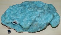 RG0754 Smithsonite.JPG RG0754 Smithsonite.JPG