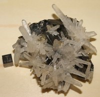 RG0763 Blende.JPG RG0763 Blende.JPG
