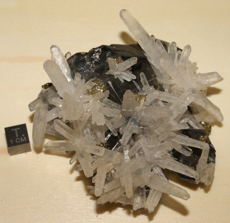 RG0763 Blende.JPG