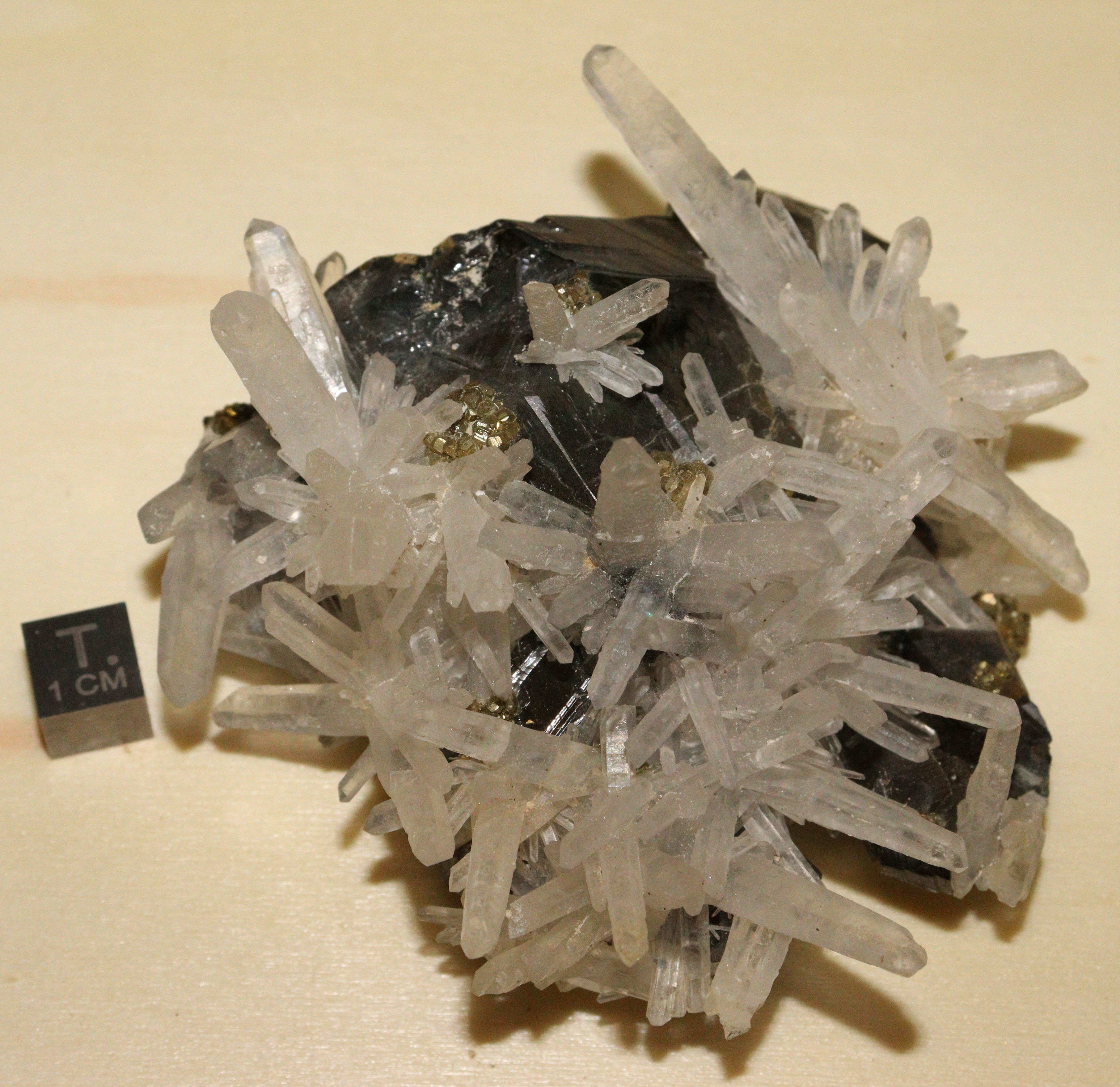 RG0763 Blende.JPG