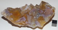 RG0778 Fluorite.jpg RG0778 Fluorite.jpg