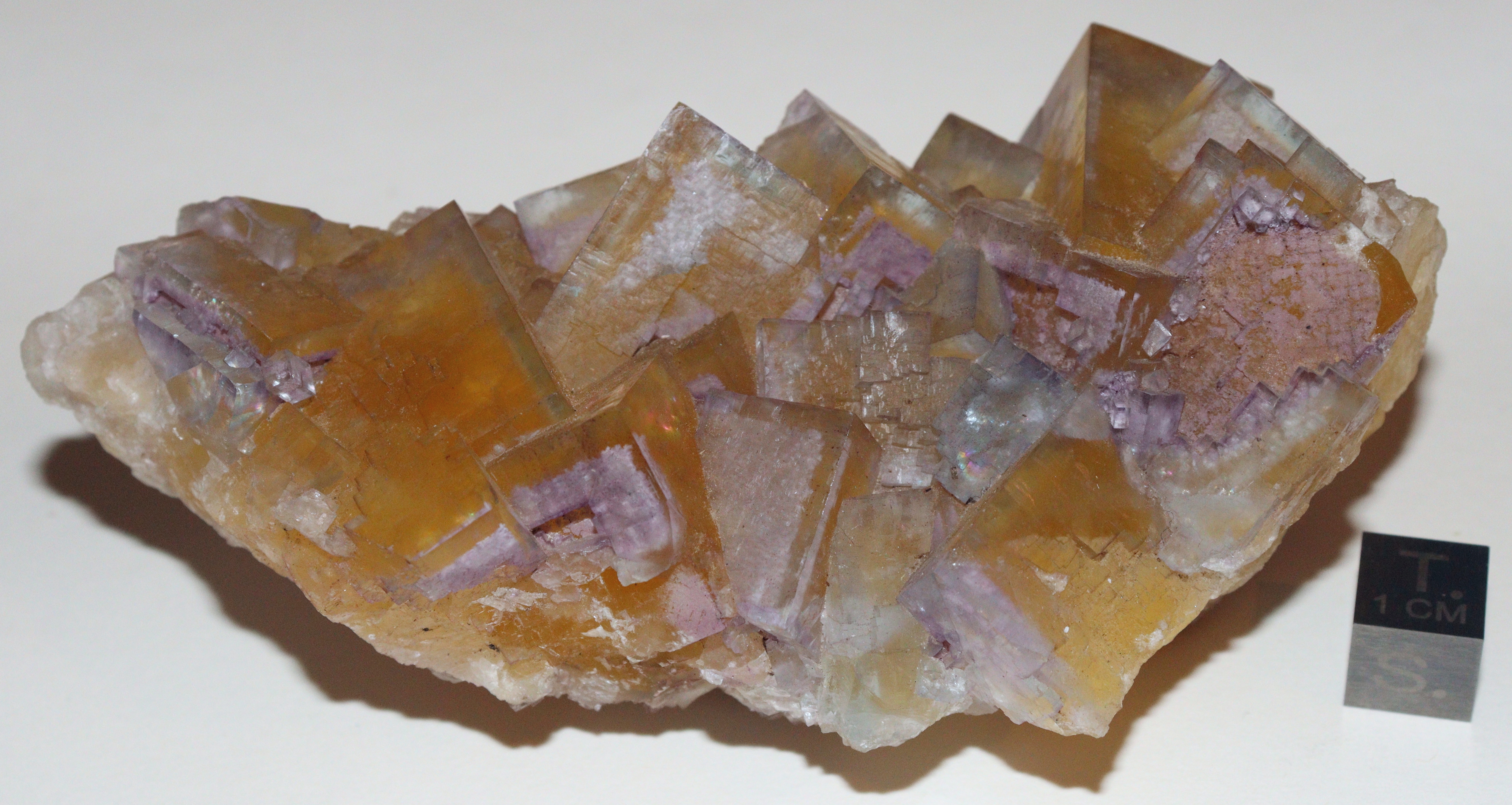 RG0778 Fluorite.jpg