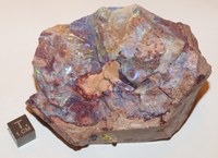 RG0779 Opal.jpg RG0779 Opal.jpg