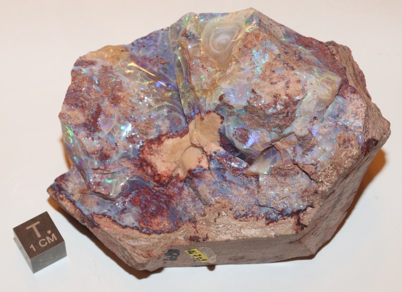 RG0779 Opal.jpg