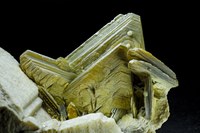 RG0781 27984 Muscovite BB 68.jpg RG0781 27984 Muscovite BB 68.jpg