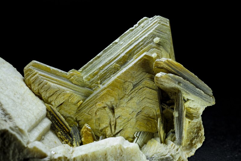 RG0781 27984 Muscovite BB 68.jpg