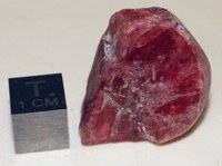 RG0784 Rhodonite.JPG RG0784 Rhodonite.JPG