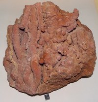 RG0792 Rhodochrosite.JPG RG0792 Rhodochrosite.JPG
