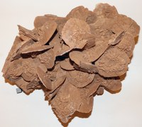 RG0793 Gypsum.jpg RG0793 Gypsum.jpg