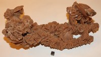 RG0797 Gypsum.jpg RG0797 Gypsum.jpg