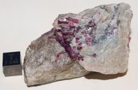 RG0810 Tourmaline.JPG RG0810 Tourmaline.JPG