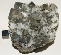 RG0815 Pyrite.JPG RG0815 Pyrite.JPG