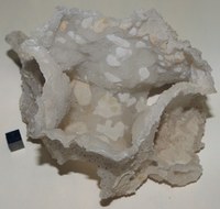 RG0819 Quartz.JPG RG0819 Quartz.JPG