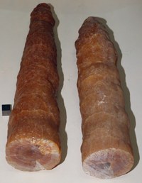 RG0821 Aragonite.JPG RG0821 Aragonite.JPG